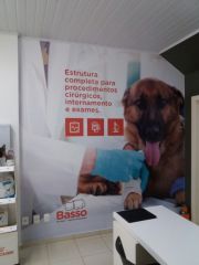 Pena Luminosos -