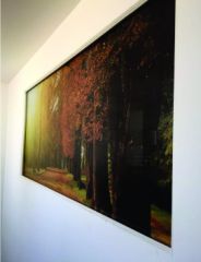Pena Luminosos -